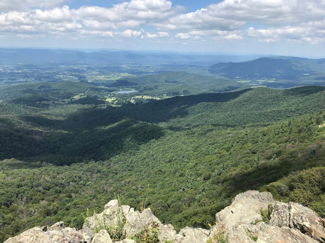 image of the view from little Stony Man at Skyline Drive in Shenandoah National Park in Virginia