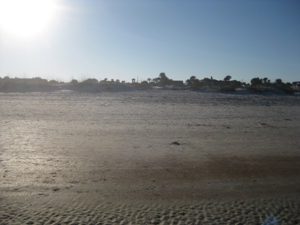 photo of the dunes as seen from the beach in St. Augustine, FL