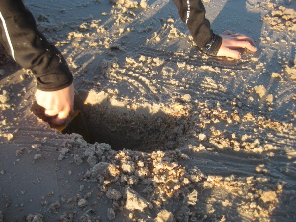 photo of the layers of the sand on the beach in St. Augustine, FL