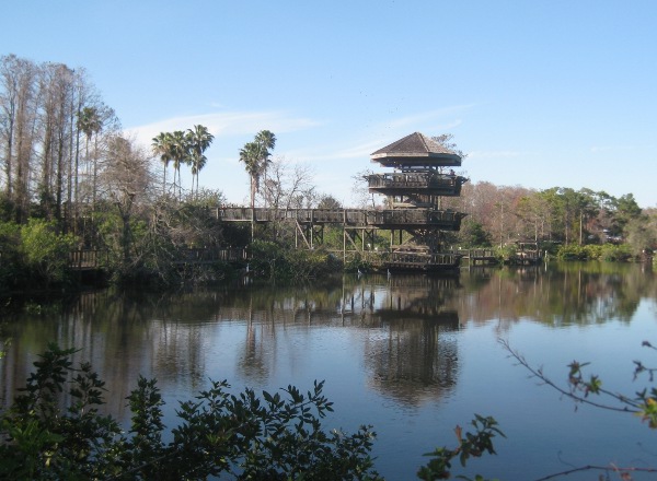 photo of the zipline tower at Gatorland in Orlando, FL