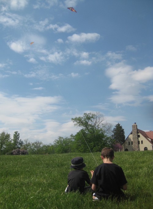 photo of flying kites at Pokgaon State Park in Angola Indiana