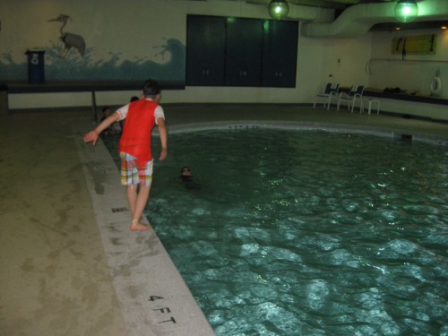 photo of the indoor pool at Pokagon State Park in Angola Indiana