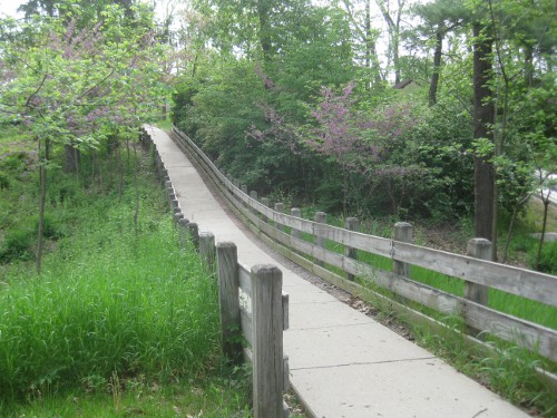 photo of a trail walkway at Pokagon State Park in Angola Indiana