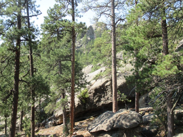 image of family vacation to Mt. Rushmore