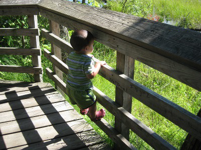 picture of a boy climbing a fence railing