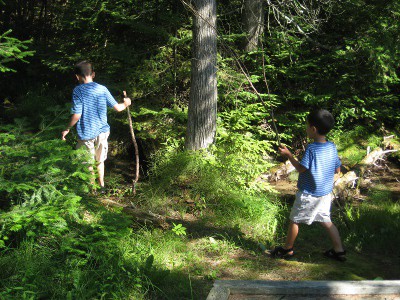 picture of boys exploring a nature path