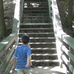 picture of a lot of stairs on the boardwalk at Iargo Springs