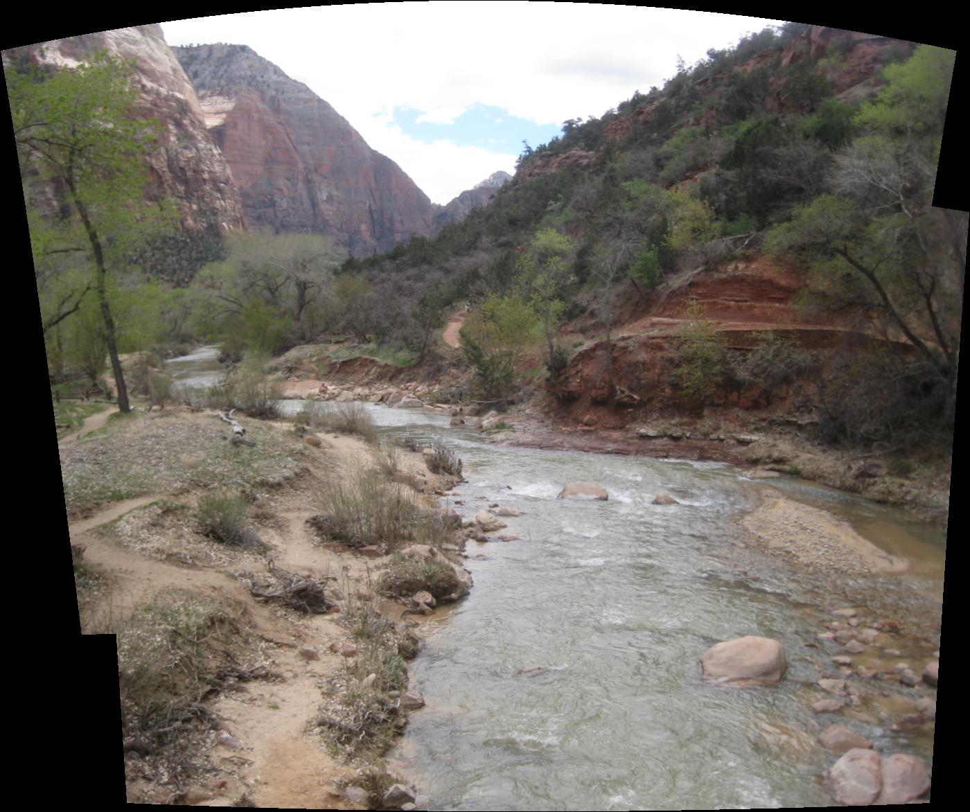 panoramic photo of the river going through Zion National Park
