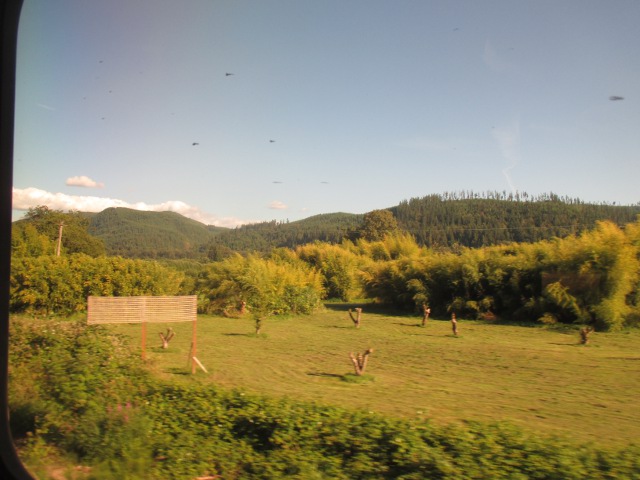 image of the view out the window on the Empire Builder Amtrak train in Washington state