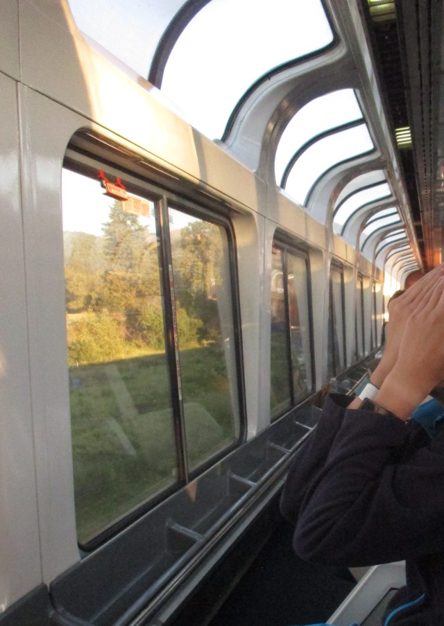 image of the Amtrak windows