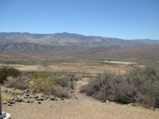 image of a cactus on the outskirts of Phoenix