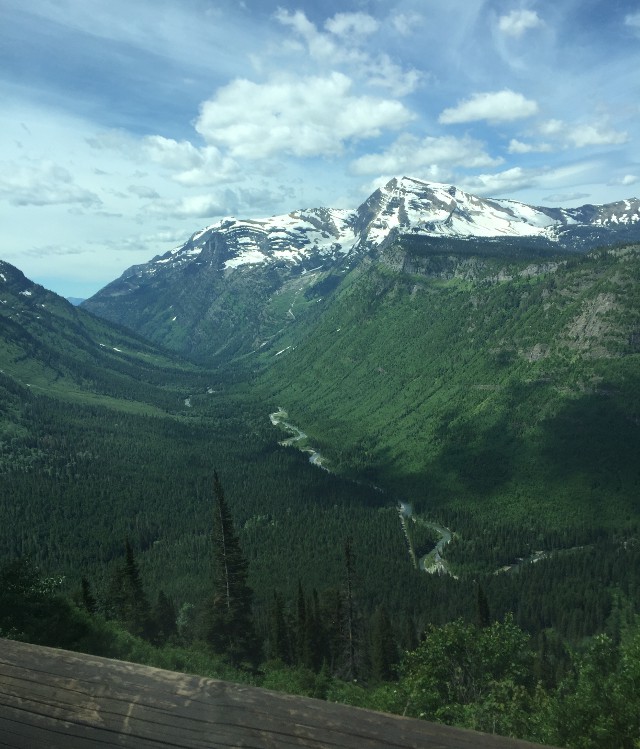 image of the Going to the Sun Road in Glacier National Park