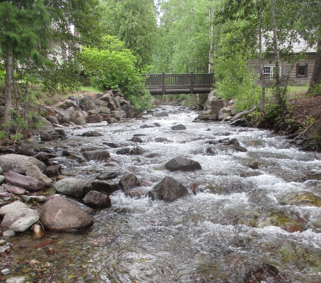image of a stream at Lake McDonald Lodge in Glacier National Park