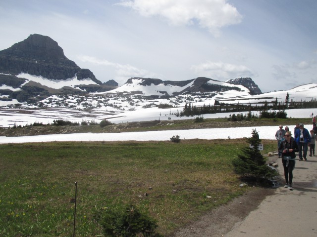 image of the Logan Pass in Glacier National Park