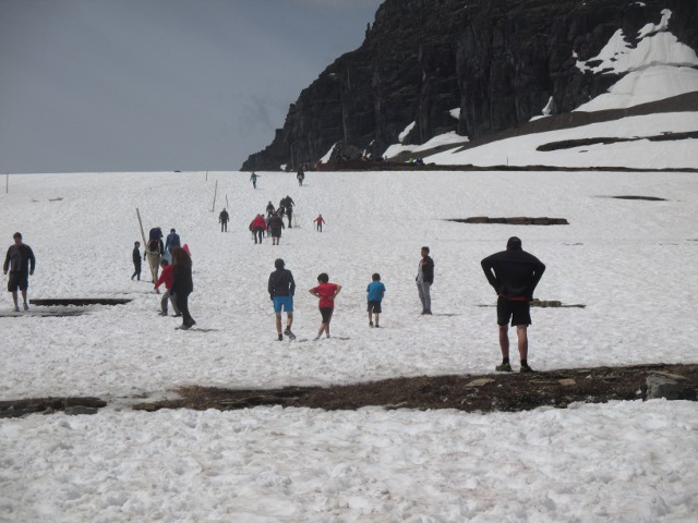 image of the Logan Pass in Glacier National Park