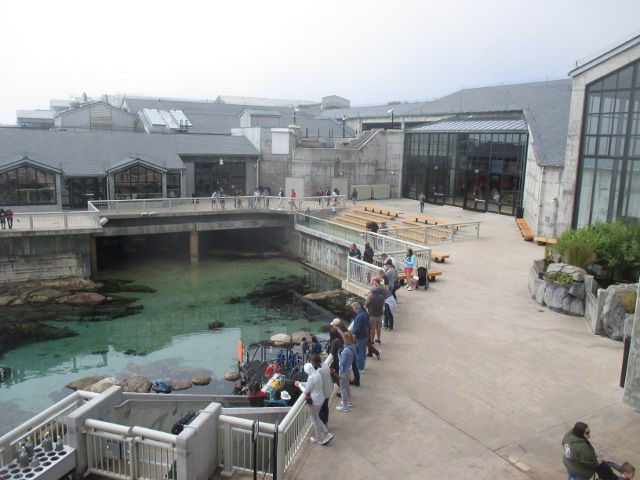 image of aquarium in Monterey