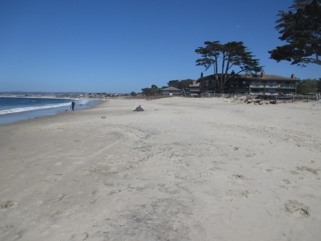 image of the coast in Monterey