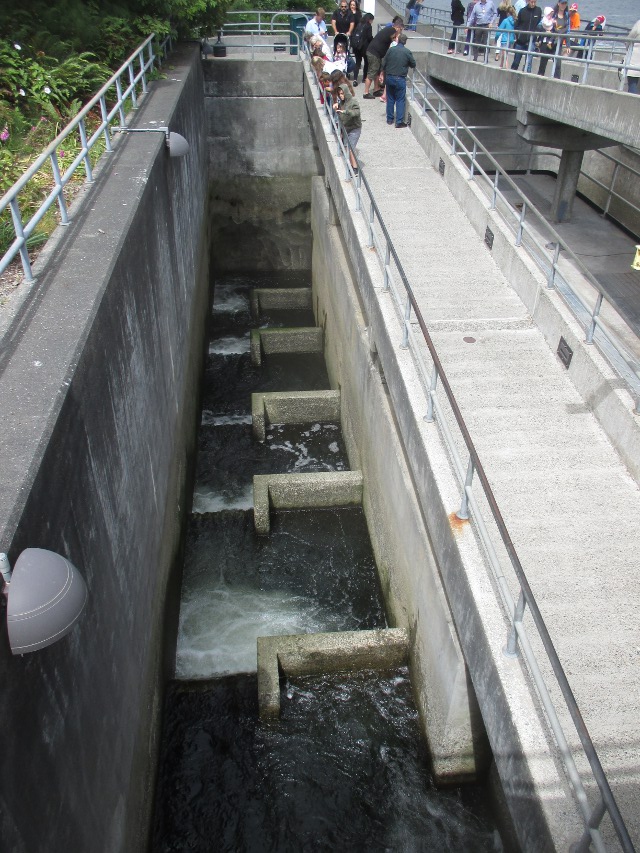 image of the Ballard locks in Seattle