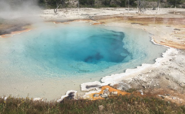 image of the Celestine Pool at Yellowstone National Park