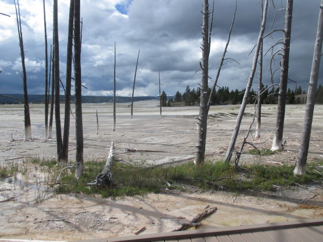 image of the scenery at Yellowstone National Park