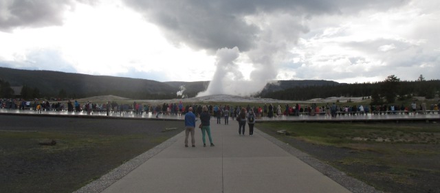 image of Old Faithful at Yellowstone National Park