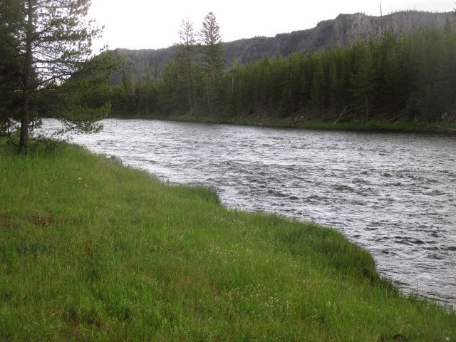 image of the river at Yellowstone National Park