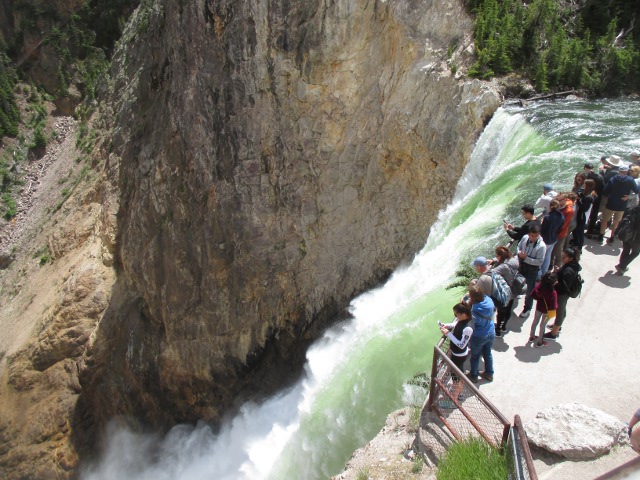 image of the canyon waterfall view at Yellowstone National Park