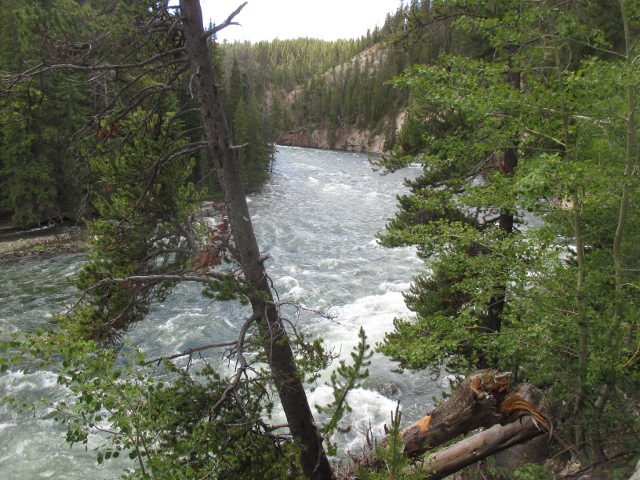 image of the canyon path at Yellowstone National Park