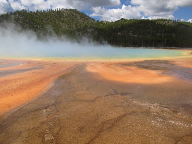 image of the prismatic springs at Yellowstone National Park