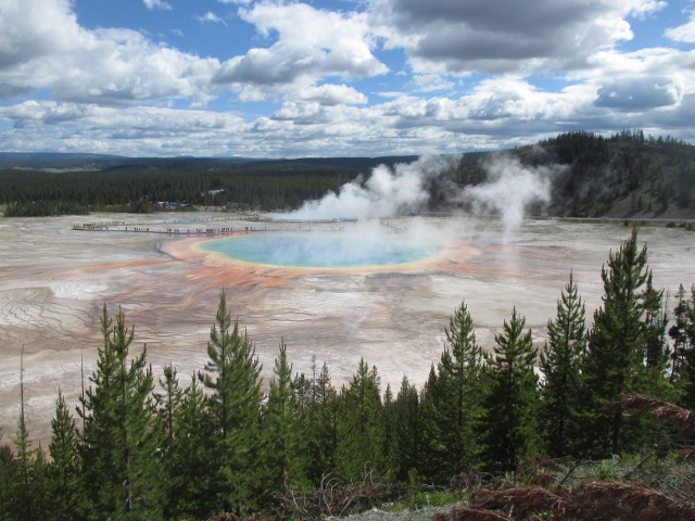 image of the grand prismatic spring at Yellowstone National Park