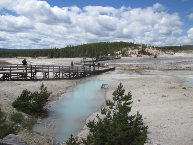 image of the steamboat geyser area at Yellowstone National Park
