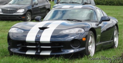 picture of Dodge Viper parked in grass