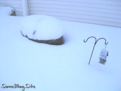 picture of flower barrel covered by snow