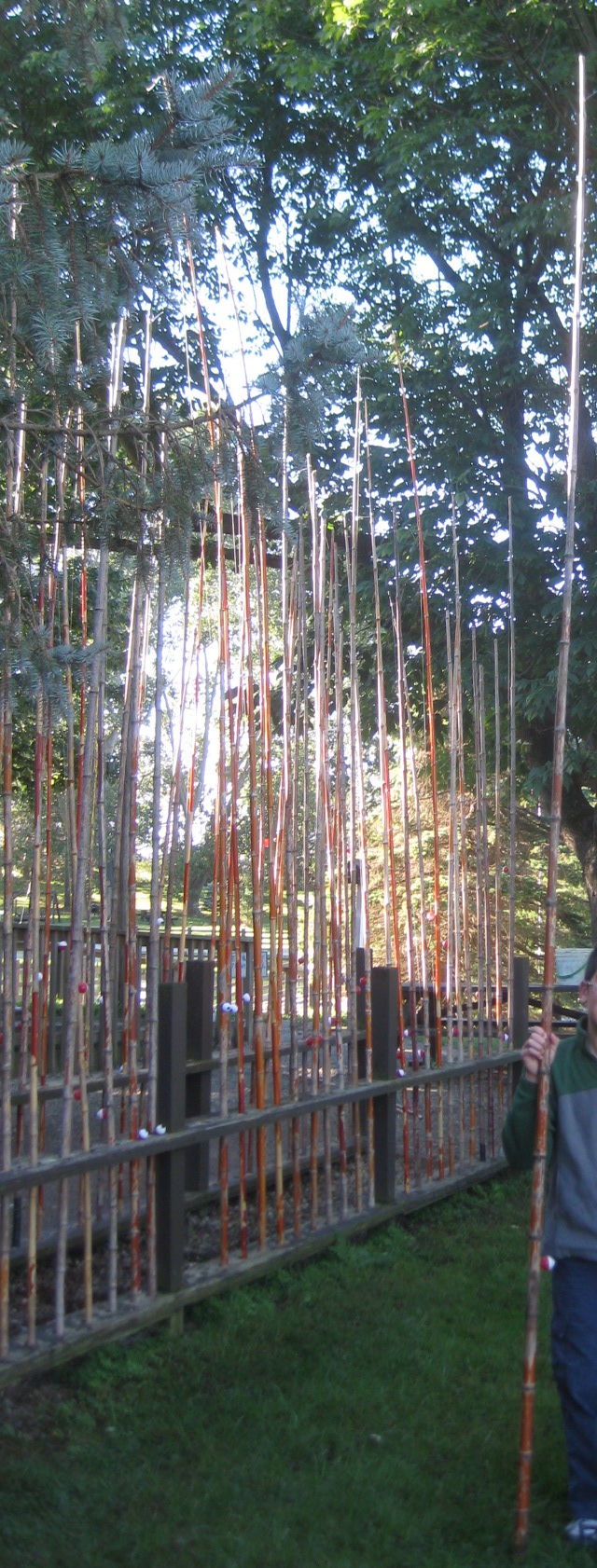 fishing poles at a trout farm