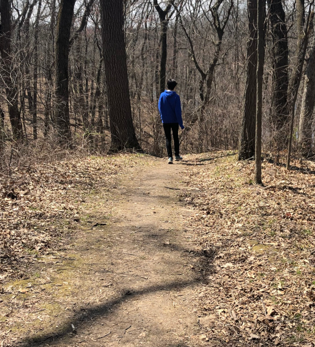 picture of someone walking on a trail