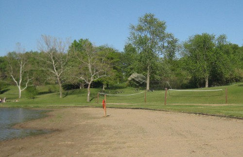 photo of the park at the local beach