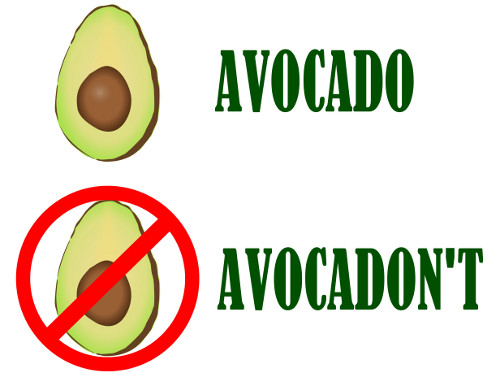 graphic showing avocado and avocadon't