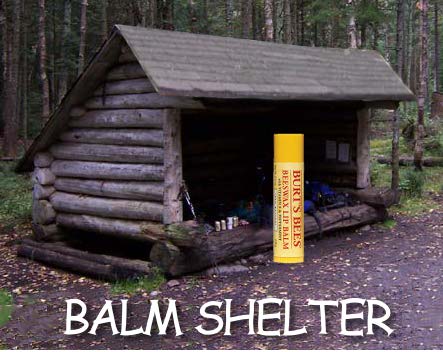 image of a chapstick under a lean-to to make a balm shelter
