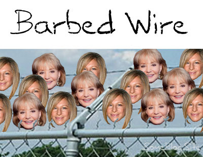 Barbra Streisand and Barbara Walter take the place of sharp barbs on strings of barbed wire