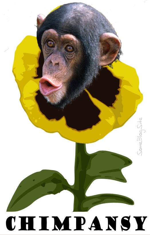 photo of a chimpanzee and a pansy combined to make a chimpansy