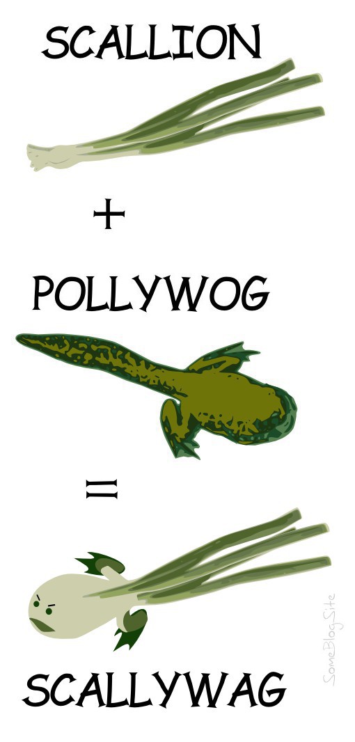 image of scallions plus a pollywog makes a scallywag