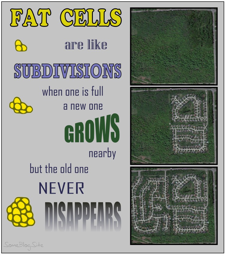 inspirational poster about how fat cells are like subdivisions