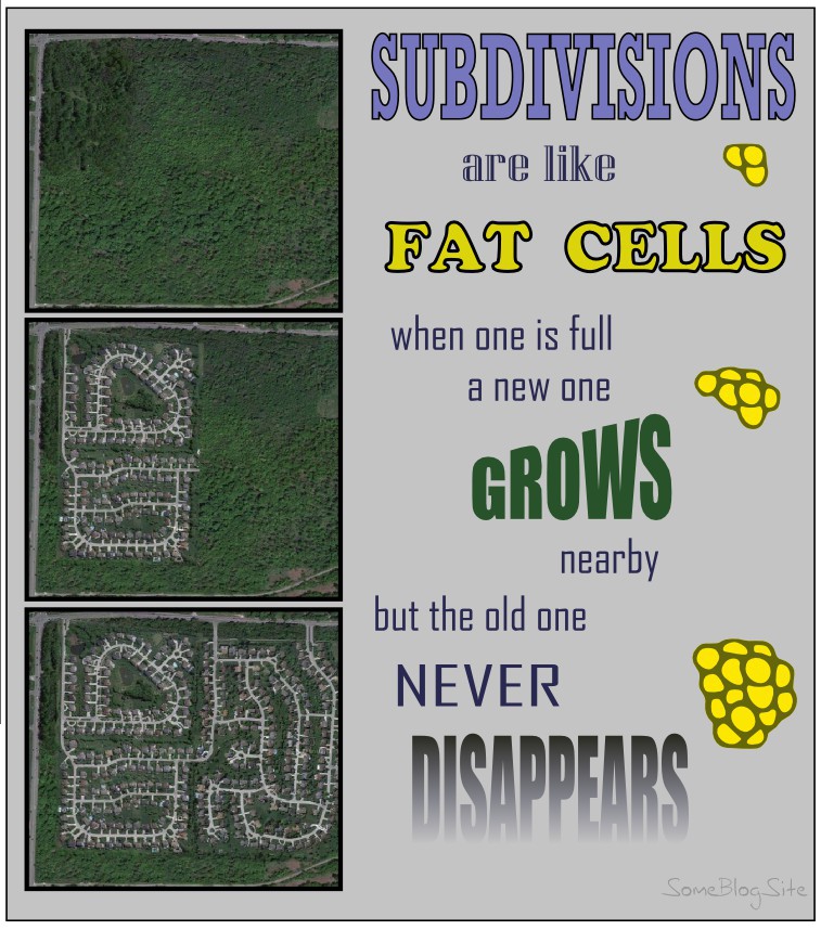 inspirational poster about how subdivisions are like fat cells