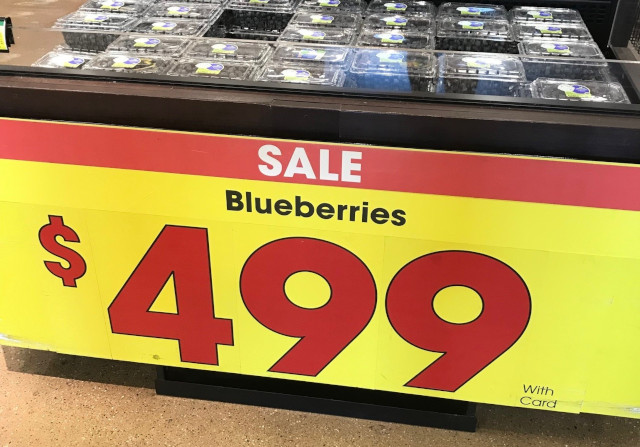price of blueberries at the grocery store, missing a decimal point