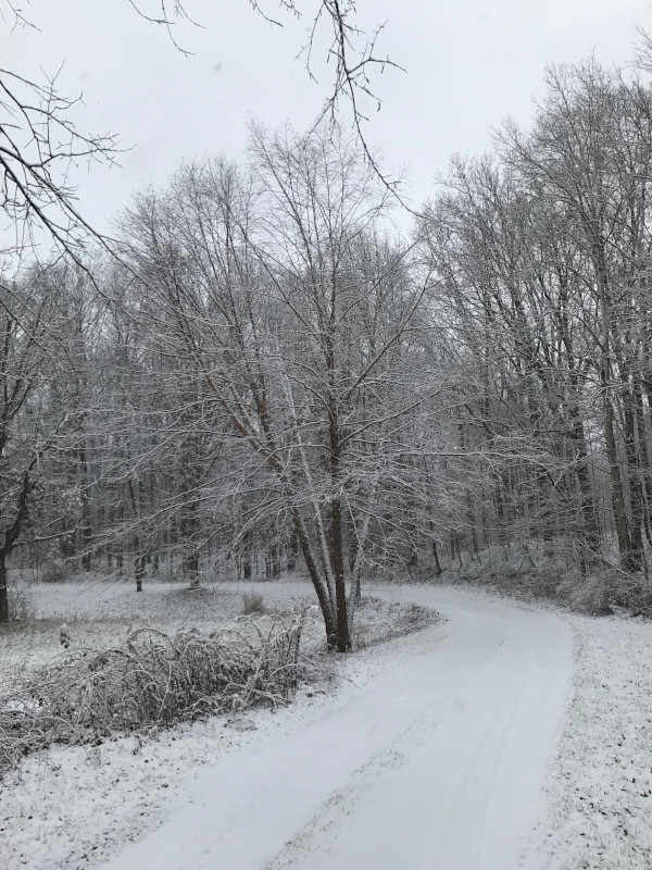 snow covering a driveway