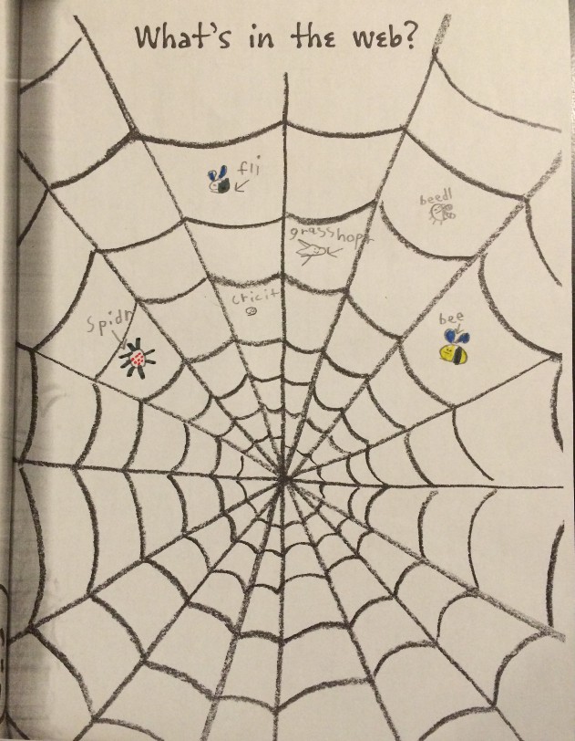 image of a first-grade crayon drawing showing bugs stuck in a web