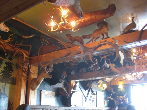 the decor of the Antler's restaurant - lots of taxidermy and skulls mounted on the walls and ceiling