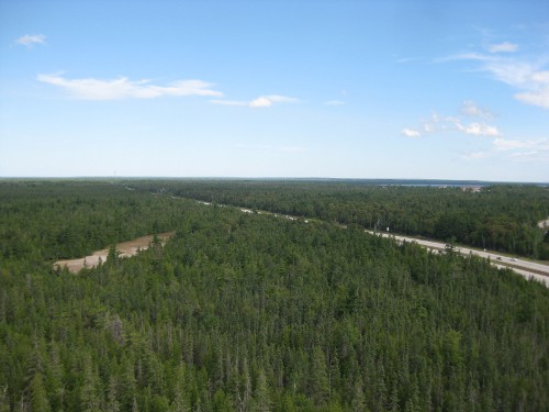 the view from Castle Rock, looking north
