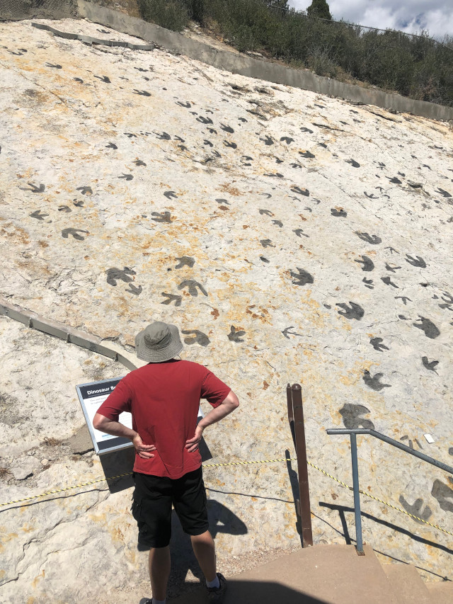 image of the fossilized footprints at Dinosaur Ridge in Denver