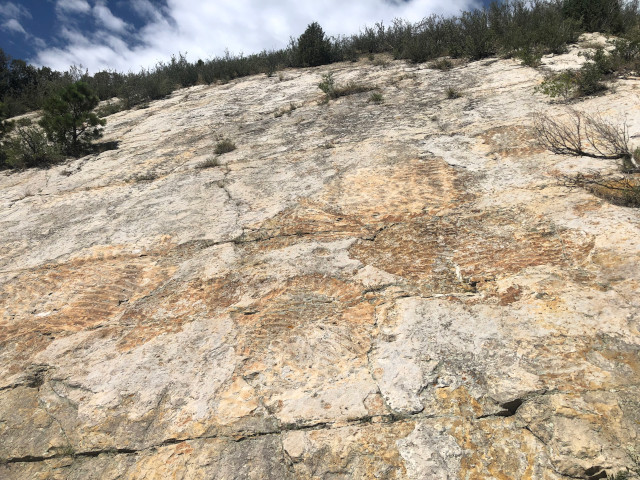 image of the water waves at Dinosaur Ridge in Denver